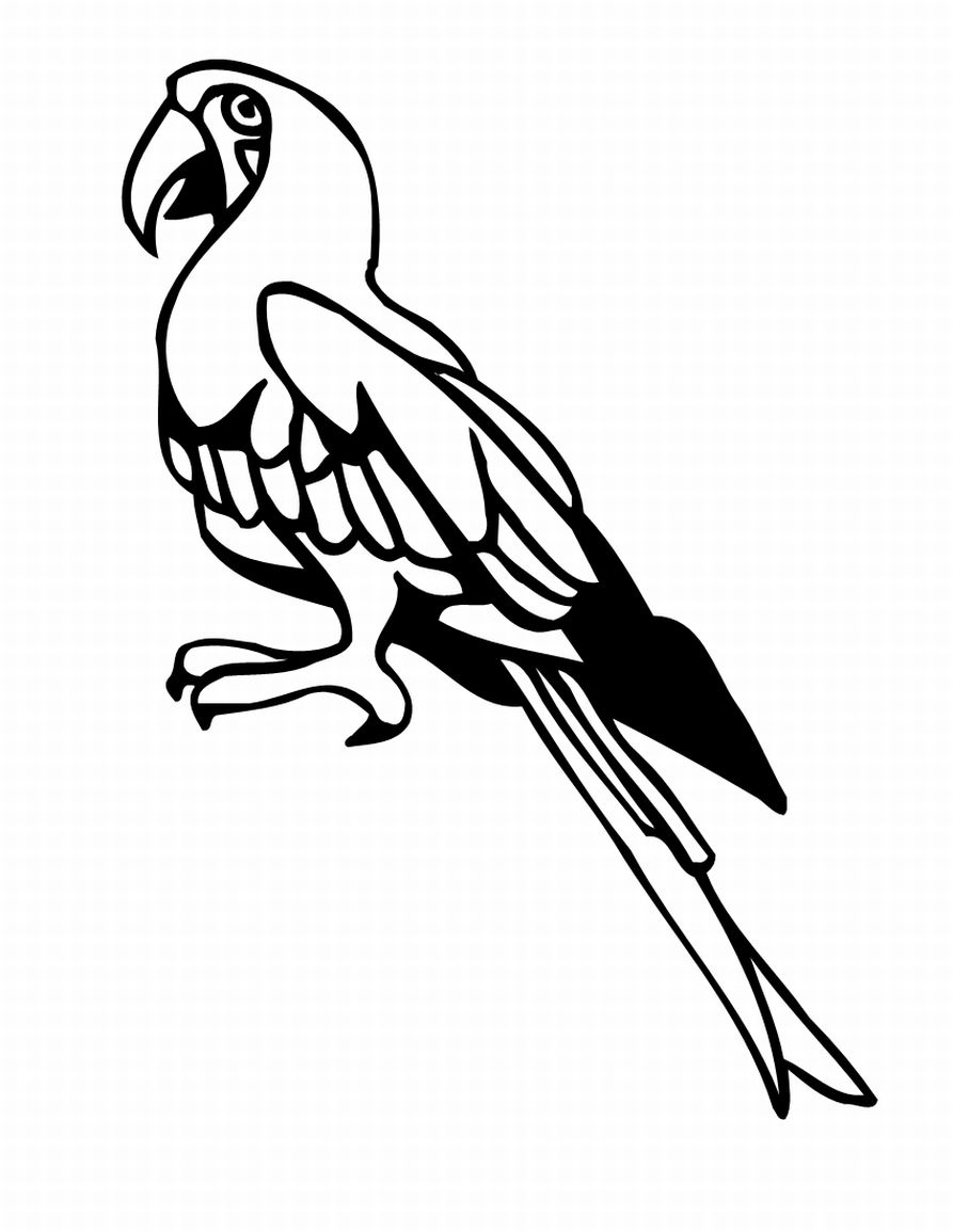 Bird Coloring Picture 1