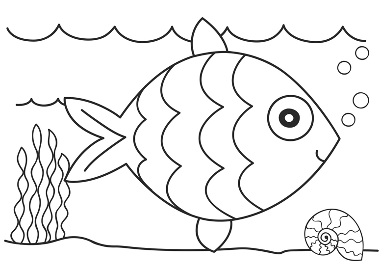 Fish Coloring Picture 5