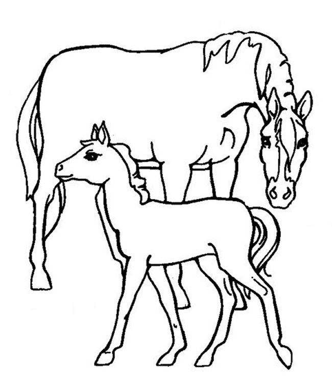 Horse Coloring Picture 3