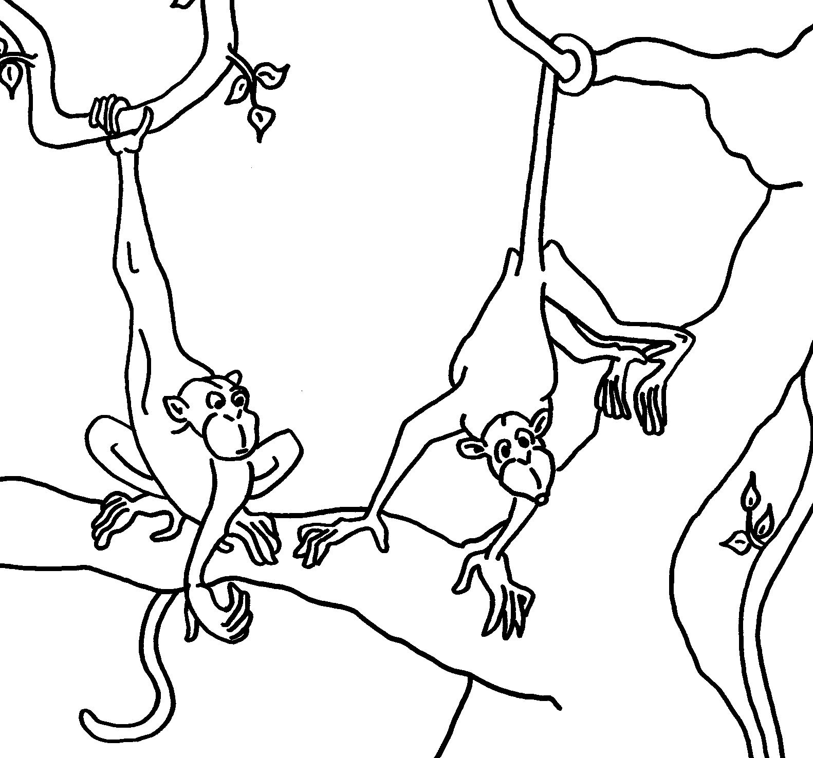 Monkey Coloring Picture 3