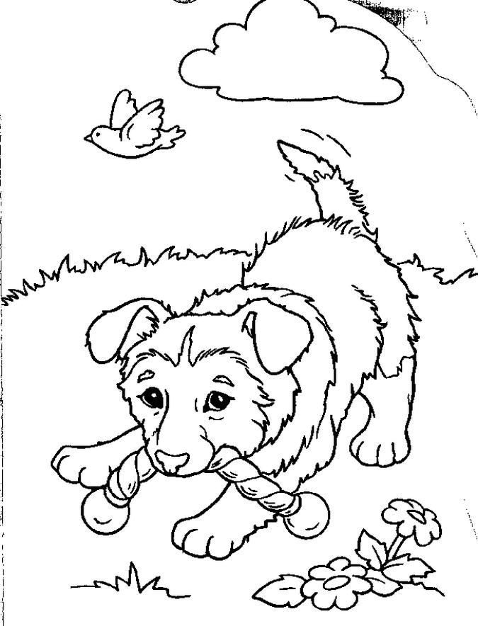 Puppy Coloring Picture 2