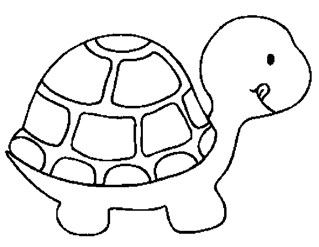 Turtle Coloring Picture 7