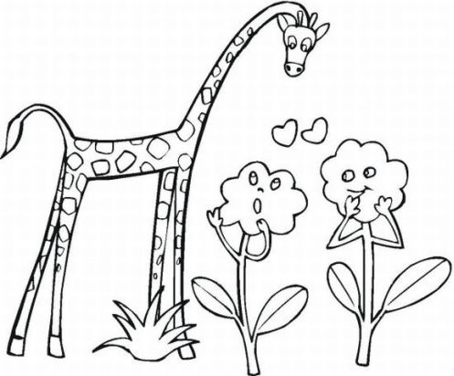 Animals Coloring Picture 1