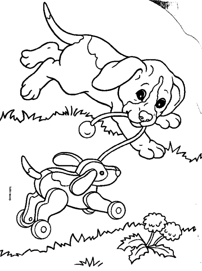 Animals Coloring Picture 12