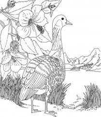 Barbie of Swan Lake Coloring Picture 4