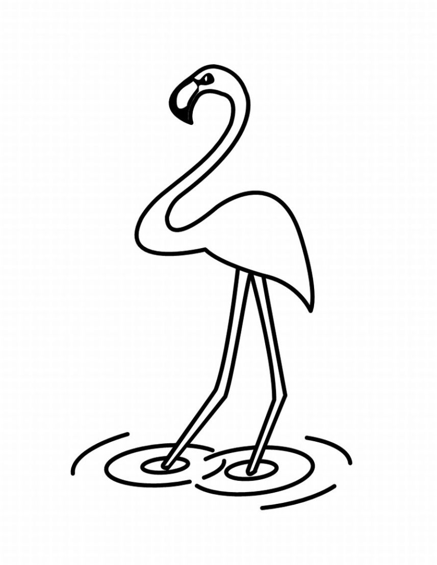 Bird Coloring Picture 10