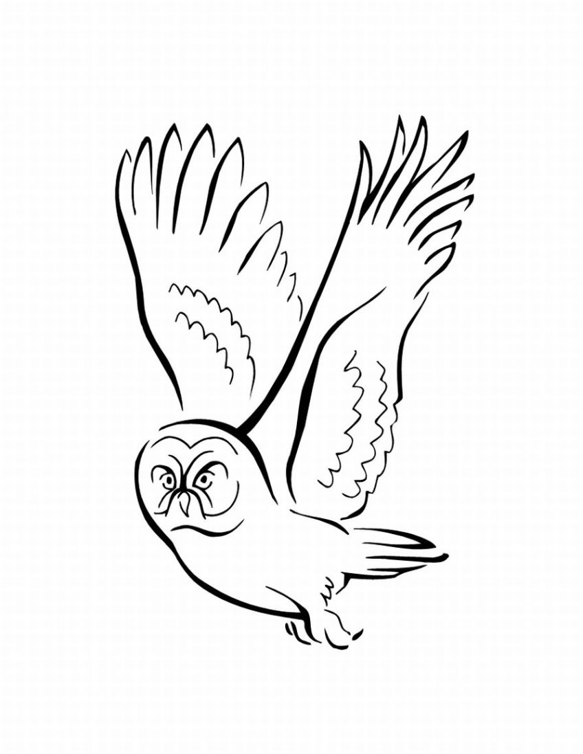 Bird Coloring Picture 11