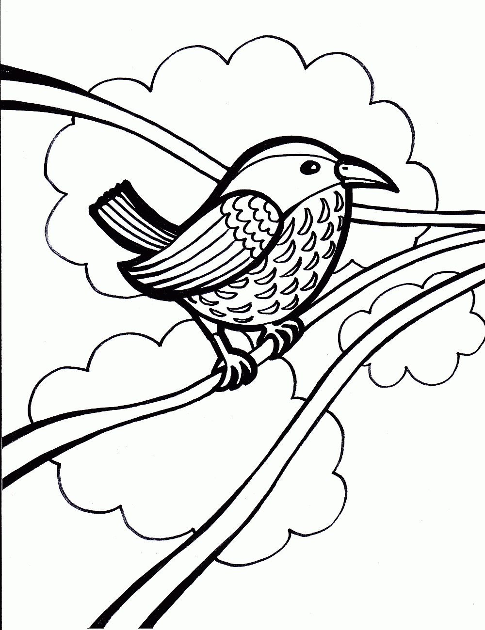 Bird Coloring Picture 6