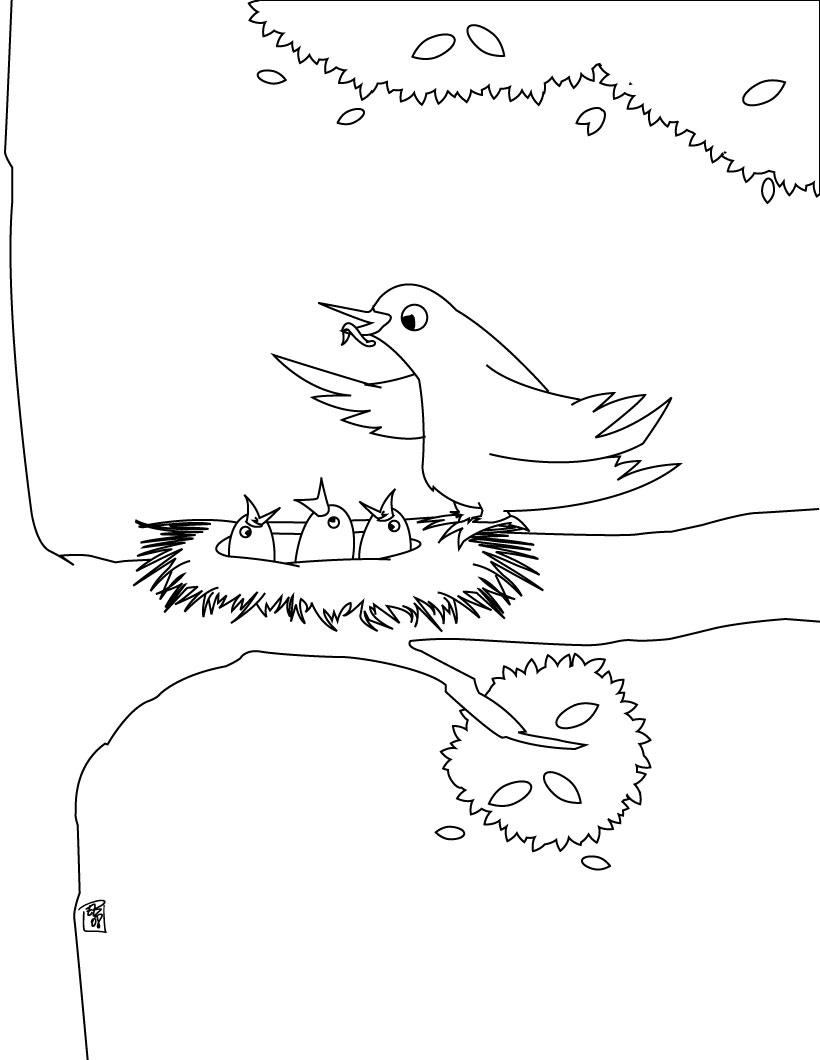 Bird Coloring Picture 7