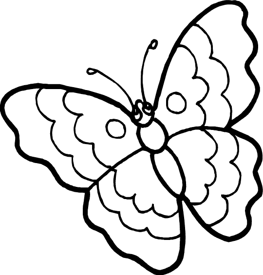 Butterfly Coloring Picture 1