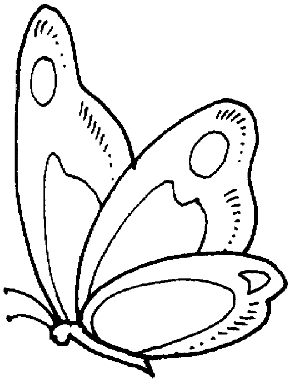 Butterfly Coloring Picture 12