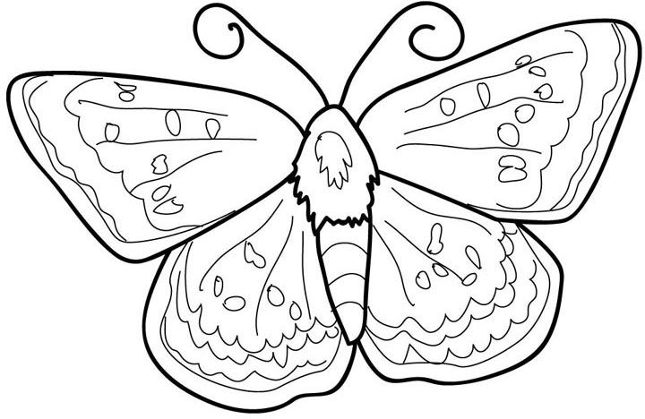 Butterfly Coloring Picture 4
