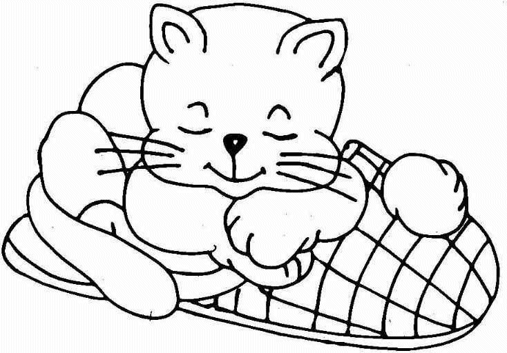 Cat Coloring Picture 5