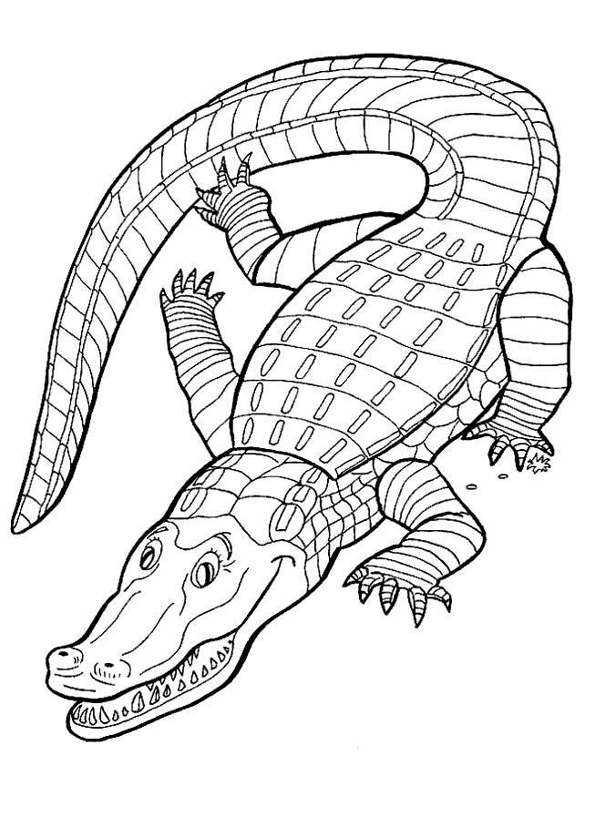 Crocodile Coloring Picture 12