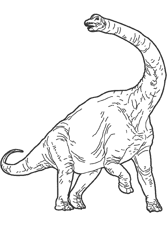 Dinosaur Coloring Picture 12