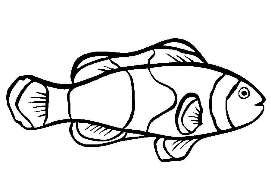 Fish Coloring Picture 10