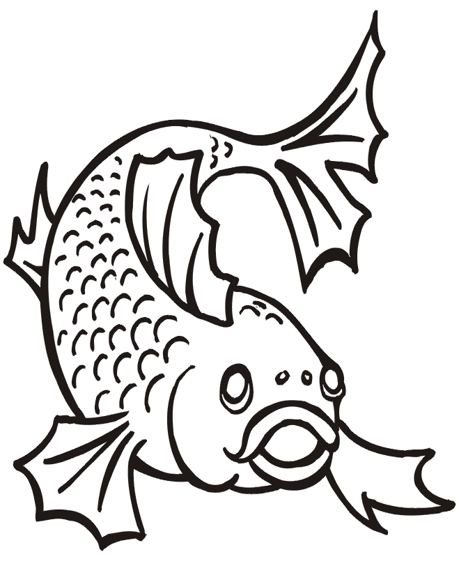 Fish Coloring Picture 11