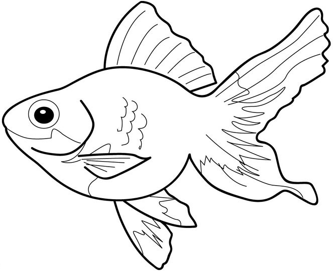 Fish Coloring Picture 12