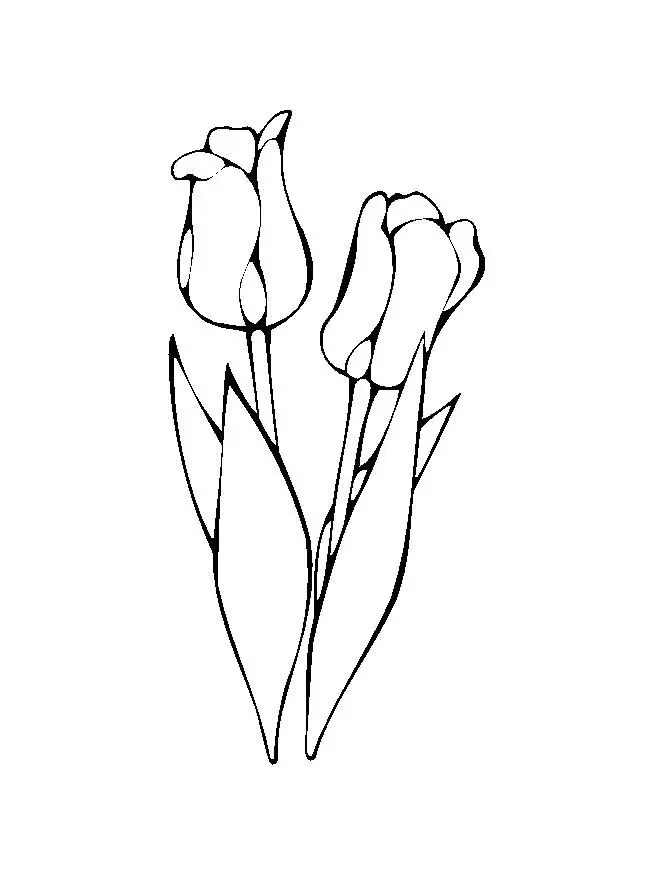 Flower Coloring Picture 1