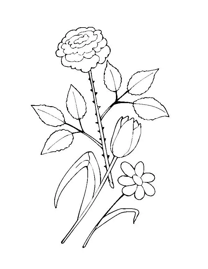 Flower Coloring Picture 2