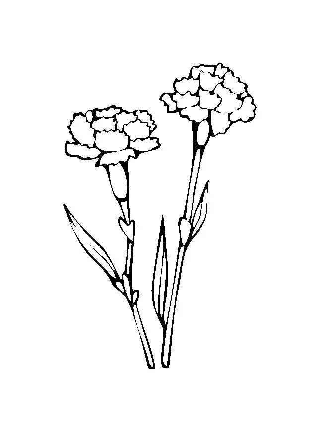 Flower Coloring Picture 8