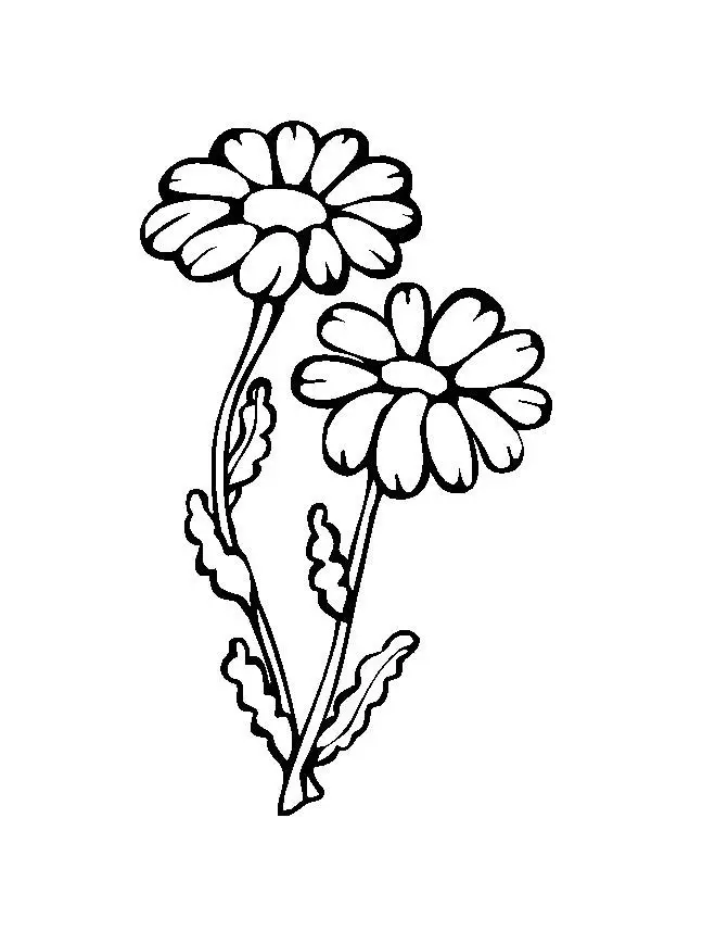 Flower Coloring Picture 9