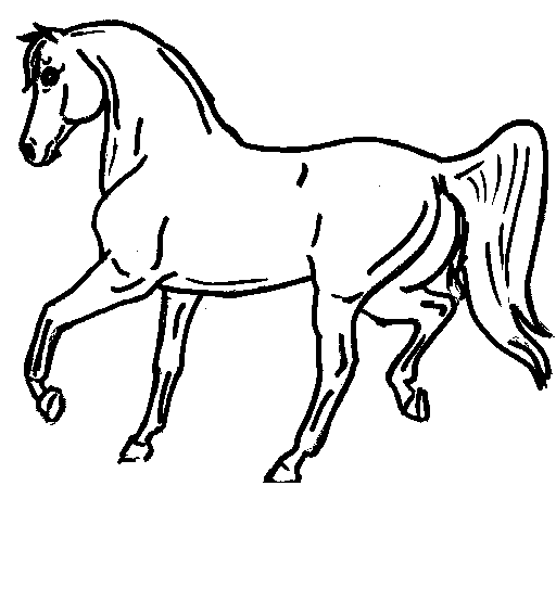 Horse Coloring Picture 4