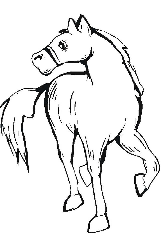 Horse Coloring Picture 7
