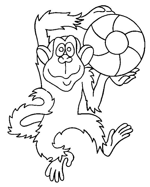 Monkey Coloring Picture 11
