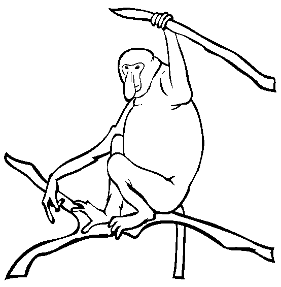 Monkey Coloring Picture 6