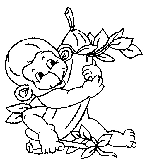 Monkey Coloring Picture 8