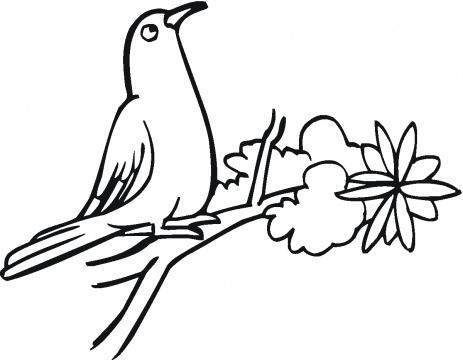 Peace Coloring Picture 5