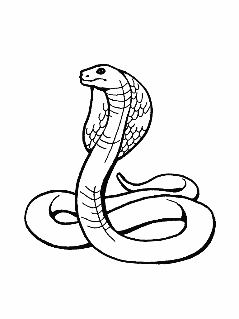 Snake Coloring Picture 2