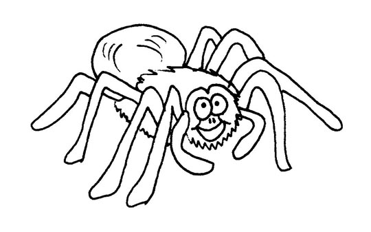 Spider Coloring Picture 6