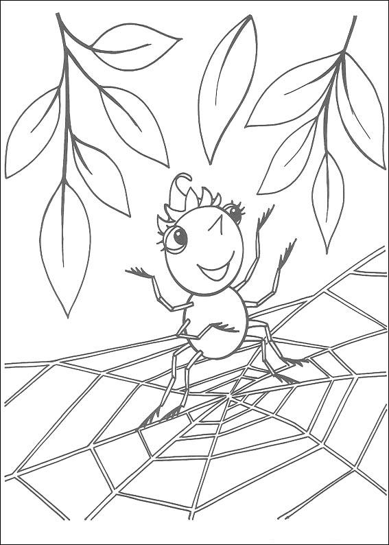 Spider Coloring Picture 8