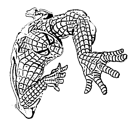 Spiderman Coloring Picture 6