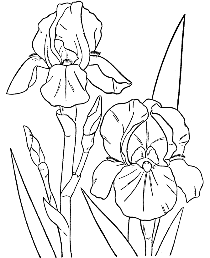 Spring Coloring Picture 2