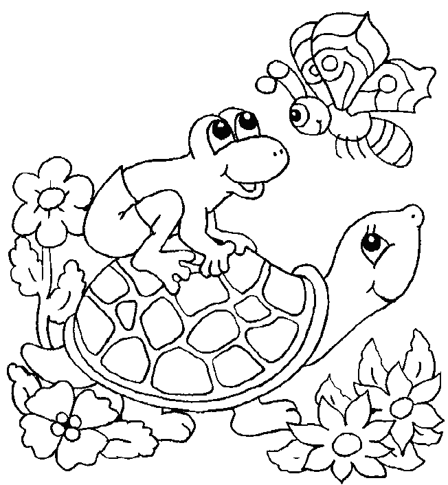 Turtle Coloring Picture 1