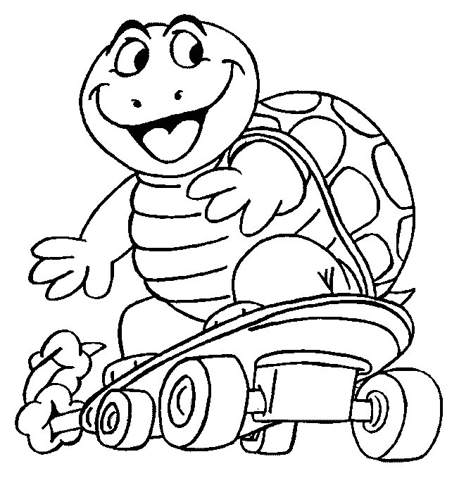 Turtle Coloring Picture 11