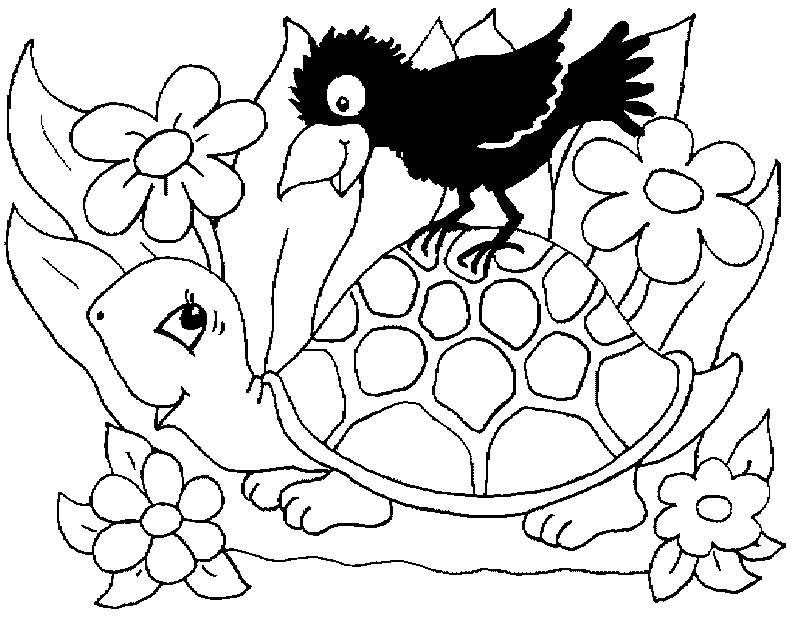 Turtle Coloring Picture 12