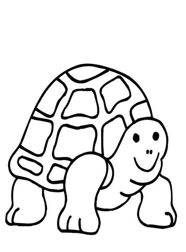 Turtle Coloring Picture 2