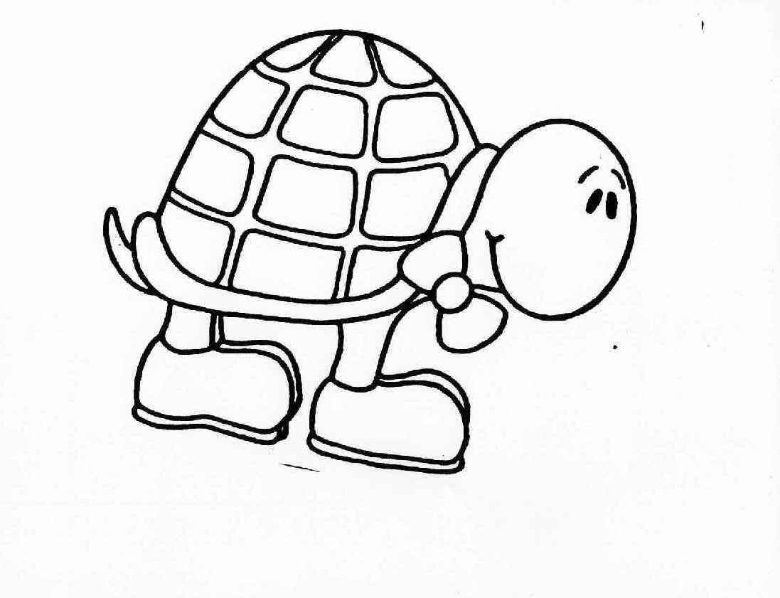 Turtle Coloring Picture 4