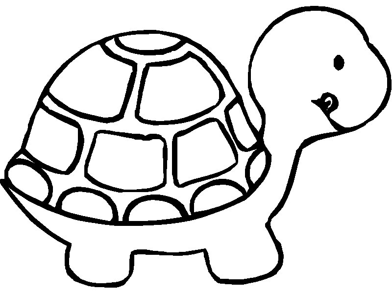 Turtle Coloring Picture 5